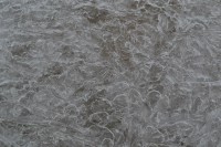 /album/riga-latvia/a1656232-849421088432582-3085655688239105393-n-jpg/